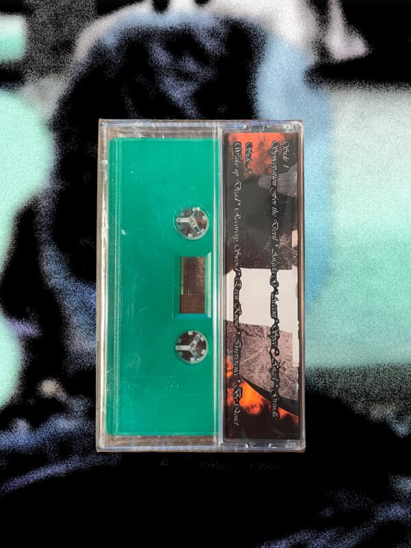 You can be the fly, you can be the spider, you can be the web, you can be the broom - Dying Hellebore